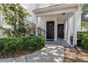 Inviting entrance with black doors, covered porch, mature landscaping and a concrete path at 3301 Haviland Ct # 203, Palm Harbor, FL 34684