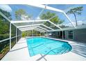 Screened-in pool with clear water, surrounded by a white patio, and lush greenery beyond at 415 Mission Hills Ave, Temple Terrace, FL 33617