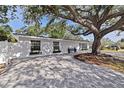 Charming single-story home boasts a paved driveway with meticulous landscaping at 4609 S Shamrock Rd, Tampa, FL 33611