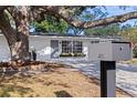 The well-maintained, single-story home displays a modern mailbox and beautiful landscaping at 4609 S Shamrock Rd, Tampa, FL 33611