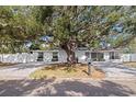 Charming single-story home with a large shade tree, paved driveway, and meticulous landscaping at 4609 S Shamrock Rd, Tampa, FL 33611