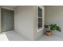 The front porch has a grey front door, a window, and a green plant at 13814 Harvestwood Ln, Riverview, FL 33569