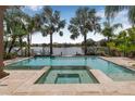 Beautiful pool and spa overlooking a serene lake with lush landscaping and mature palm trees at 18036 Java Isle Dr, Tampa, FL 33647
