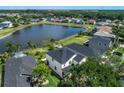 Aerial shot of the neighborhood with a lake surrounded by lush greenery at 8518 Tidal Bay Ln, Tampa, FL 33635