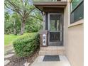 Close-up of a screen door entrance with tiled steps, framed by lush greenery for added privacy at 1400 Tarpon Woods Blvd # E4, Palm Harbor, FL 34685