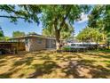 Large, tree-shaded backyard with a trampoline, perfect for outdoor activities and relaxation at 1403 W Pradera Ave, Tampa, FL 33612