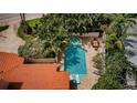 Aerial view of a beautiful pool with a spa, outdoor dining and lounging areas surrounded by lush landscaping at 1427 40Th Ne Ave, St Petersburg, FL 33703