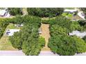 Aerial view of a tree-lined property, including both the main house and outbuildings at 38839 Miller Ave, Zephyrhills, FL 33542