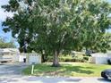 A charming house shielded by a majestic tree at 9797 52Nd N Ter, St Petersburg, FL 33708