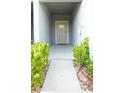 Covered entryway lined with well-maintained landscaping at 36439 Garden Wall Way, Zephyrhills, FL 33541