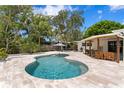 Inviting backyard pool with surrounding deck, covered patio, and lush greenery for outdoor relaxation at 125 Live Oak Ln, Largo, FL 33770
