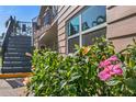 Close-up of hibiscus flowers, condo exterior, and stairway, creating a cozy and inviting atmosphere at 216 36Th N Ave # 202B, St Petersburg, FL 33704