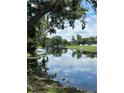 Picturesque waterfront property with lush greenery, serene water views, and boat access at 13709 Juniper Blossom Dr, Tampa, FL 33618