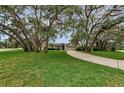 Well-maintained home with a large front yard and mature trees providing shade at 8060 Timberlake Ave, Spring Hill, FL 34606