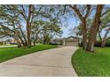 Home with mature trees and a well-manicured lawn at 8060 Timberlake Ave, Spring Hill, FL 34606