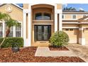 Close-up of elegant double doors with decorative glass and manicured landscaping at 10646 Cory Lake Dr, Tampa, FL 33647