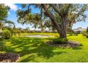 Lush green backyard featuring mature landscaping and a serene pond view, perfect for relaxation and enjoying nature at 11813 Crawford Parrish Ln, Parrish, FL 34219