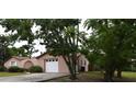 View of home's side and front showing driveway, garage, and mature landscaping at 12488 Harper St, Spring Hill, FL 34609