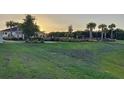 Beautiful community pool and recreation area with palm trees at sunset at 13014 Willow Grove Dr, Riverview, FL 33579