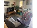 Inviting living room area featuring natural light and comfortable seating arrangements at 7206 Reindeer Rd, Tampa, FL 33619