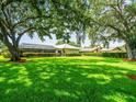 Expansive backyard featuring lush green grass and mature trees creating a serene and private outdoor space at 13608 Lytton Way, Tampa, FL 33624