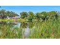 Scenic view of a serene pond surrounded by lush greenery and a glimpse of a nearby home at 3100 70Th N St, St Petersburg, FL 33710