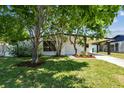 Charming single-story home with a covered carport and mature trees in a landscaped front yard at 6551 S West Shore Cir, Tampa, FL 33616