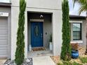 Inviting entryway with a classic blue door and charming plants at 14015 Arbor Pines Dr, Riverview, FL 33579