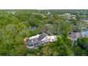 Aerial view of a private home surrounded by lush greenery and mature trees at 1974 Hidden Springs Pl, Clearwater, FL 33760