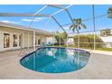 Screened-in pool featuring ample patio space, perfect for relaxing and enjoying the outdoors with lanai access and lush landscaping at 2006 Tanglewood Ne Dr, St Petersburg, FL 33702