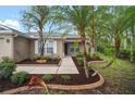 Charming exterior view showcasing a well-manicured lawn, lush palm trees, and a welcoming front entrance at 3908 Douglas Hill Pl, Parrish, FL 34219