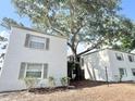 White condo building surrounded by beautiful mature trees at 4611 W North B St # 125, Tampa, FL 33609
