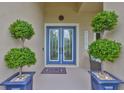 Welcoming entryway with a stylish blue double door, complemented by decorative plants in elegant blue pots at 6016 Shadowlake Dr, Apollo Beach, FL 33572