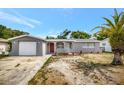 Exterior view of a gray home with a red front door, a palm tree, and a front lawn at 7411 Seashore Dr, Port Richey, FL 34668