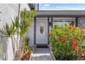 Inviting front entrance featuring a decorative door, vibrant hibiscus bush, and lush tropical plants at 10213 Westport Ct, Tampa, FL 33615