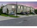 Well-maintained townhomes with green lawns, driveways and neutral color schemes, captured at dusk at 11054 Crescent Deer Dr, Land O Lakes, FL 34638
