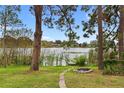 Beautiful backyard with lush greenery, a stone path, a lake view and a fire pit at 12529 Mondragon Dr, Tampa, FL 33625