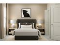 Well-lit bedroom featuring a stylish bed with decorative pillows and bedside tables at 9371 Cannon Beach Dr, Parrish, FL 34219