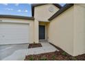 Home featuring a neutral exterior with a front door and attached garage at 9828 Branching Ship Trace, Wesley Chapel, FL 33545