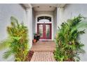 Inviting front entrance with decorative plants flanking the walkway and a red double door at 10515 Canary Isle Dr, Tampa, FL 33647