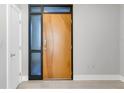 Modern front door with sleek design, side light windows, and neutral wall paint enhances the welcoming ambiance at 1501 Doyle Carlton Dr # 303, Tampa, FL 33602
