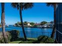 Scenic waterfront views from the backyard with lush greenery and mature palm trees, showing the canal at 2096 Massachusetts Ne Ave, St Petersburg, FL 33703