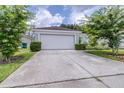 Home featuring a two car garage with a large driveway and trimmed bushes on each side at 26343 Whirlaway Ter, Wesley Chapel, FL 33544
