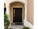 Welcoming front door entrance with side window and elegant trim at 26541 Chimney Spire Ln, Wesley Chapel, FL 33544