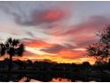 Picturesque sunset view over a tranquil lake, reflecting vibrant sky colors at 1012 Radison Lake Ct # 59, Sun City Center, FL 33573