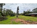 Large, grassy backyard featuring mature trees and garden beds on a spacious lot at 19036 Blake Rd, Odessa, FL 33556