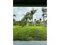 View of a lush backyard with tall palm trees overlooking a serene pond, providing a tranquil and picturesque outdoor space at 2511 Indian Key Dr, Holiday, FL 34691
