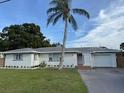 Charming single-story home with a well-maintained lawn, a palm tree and a driveway at 3118 Adrian Ave, Largo, FL 33774