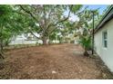 Large, private backyard featuring mature trees and ample space for recreation and gardening at 3812 W Rogers Ave, Tampa, FL 33611