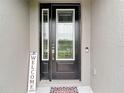 A welcoming front door with glass panels and a 'Welcome' sign, complemented by stylish hardware at 18079 Romanesque Ct, Spring Hill, FL 34610